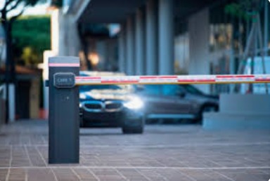 Imagen de WhatsApp 2024-11-21 a las 17.02.13_758b6c03